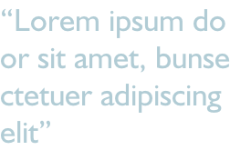 “Lorem ipsum do or sit amet, bunse ctetuer adipiscing  elit”