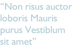 “Non risus auctor loboris Mauris purus Vestiblum sit amet”
