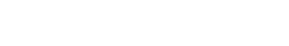 VIRTUAL PRIVATE NETWORK  (VPN)