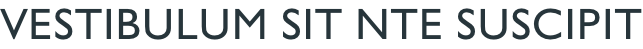 Vestibulum sit nte suscipit